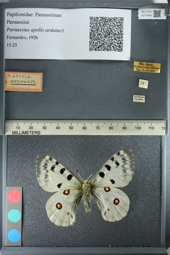 Media type: image;   Entomology 175460